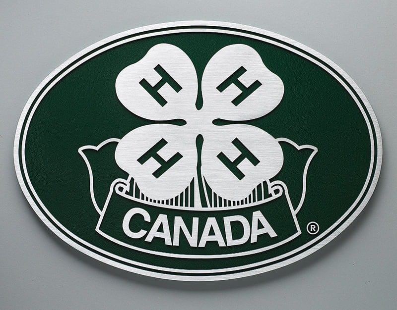 Green and stainless colored aluminum plaque with custom 4 leaf clover logo 